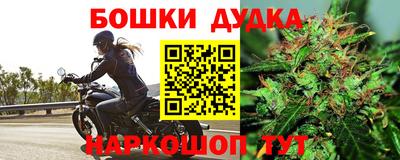 винт Партизанск
